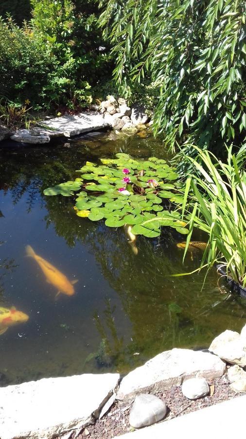 Le Jardin De Nemo Acomodação com café da manhã Biscarrosse Exterior foto