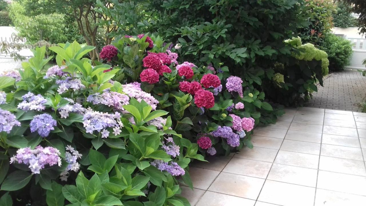 Le Jardin De Nemo Acomodação com café da manhã Biscarrosse Exterior foto